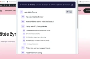 žymos